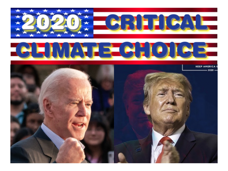 2020 Choice Biden Trump Web Image 1