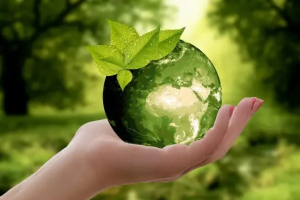 global food solution
